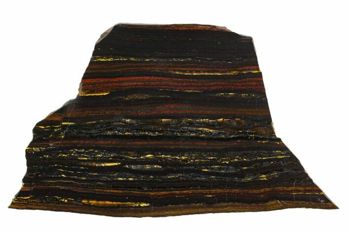 Polished Tiger Iron Stromatolite - Billion Years #129354
